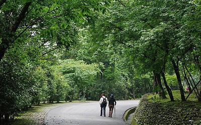 「仁山植物園」Blog遊記的精采圖片